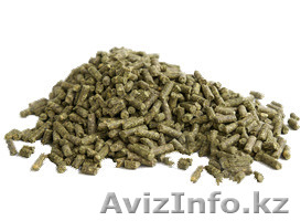 Корма для шиншилл - Изображение #1, Объявление #1350842