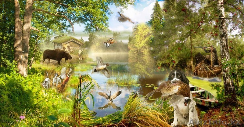 Фрески охота и рыбалка! - Изображение #1, Объявление #1027897