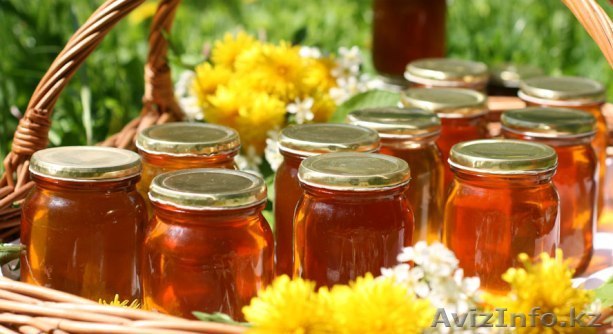 Продам кыргызский мёд - Изображение #1, Объявление #1356923