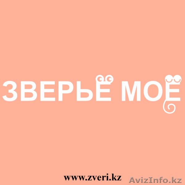  Зоотовары в Алматы - Изображение #1, Объявление #1376189