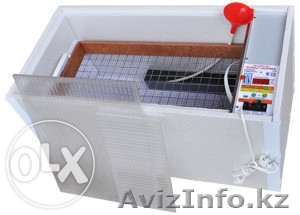 Купить инкубатор в Алматы. Новые инкубаторы вы можете купить у нас - Изображение #1, Объявление #1372778