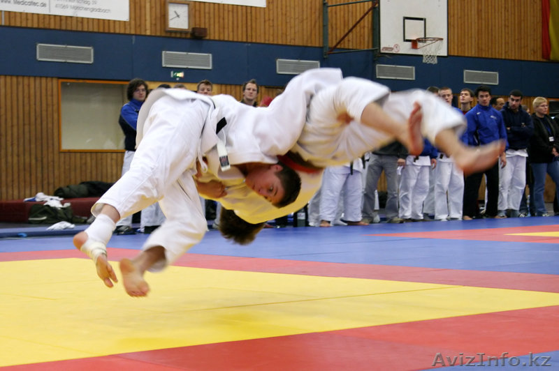 Дзюдо - школа чемпионов - Изображение #1, Объявление #1399151