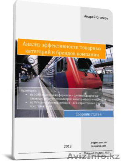 Книга  ‘Анализ эффективности товарных категорий и брендов компании’ - Изображение #1, Объявление #1379982