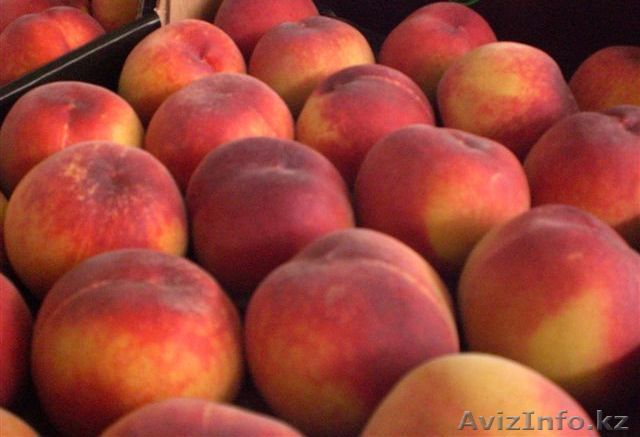 Персики из Испании - Изображение #1, Объявление #1423061