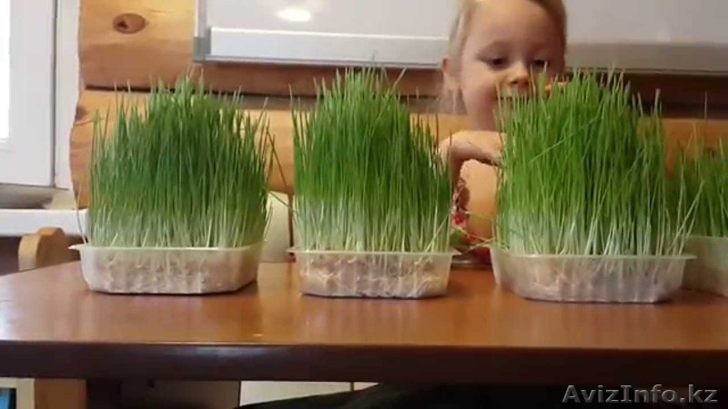 Бодифлекс - за 15 лет преподавания, 7000 идеальных фигур!Ты с нами? - Изображение #1, Объявление #1419227