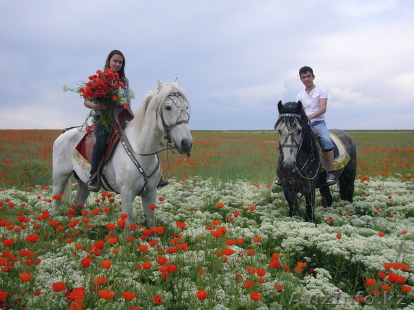 Конные прогулки - Изображение #1, Объявление #1415389