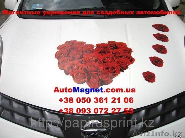 Печать на магнитной пленке - Изображение #1, Объявление #1423998