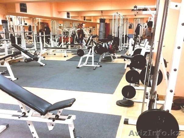 Продам прибыльный действующий бизнес в Алматы - Тренажерный зал - Изображение #1, Объявление #1425314