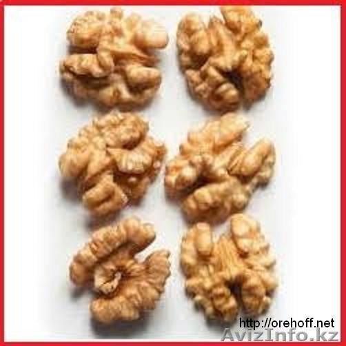Грецкий орех и курага оптом, доставка по РФ и СНГ - Изображение #1, Объявление #1449081
