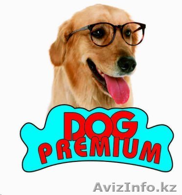 Ветеринарная клиника Dog Premium на Зимней улице  - Изображение #1, Объявление #1469758