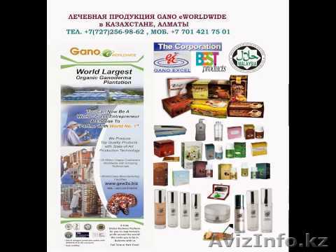 Крупная малазийская компания ищет региональных представителей по Казахастану - Изображение #1, Объявление #1470330