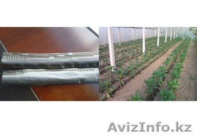 Линия для изготовления лент капельного орошения по типу лабиринта - Изображение #1, Объявление #1474094