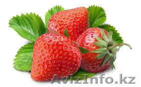 альбион- рассада клубники  - Изображение #1, Объявление #1489153