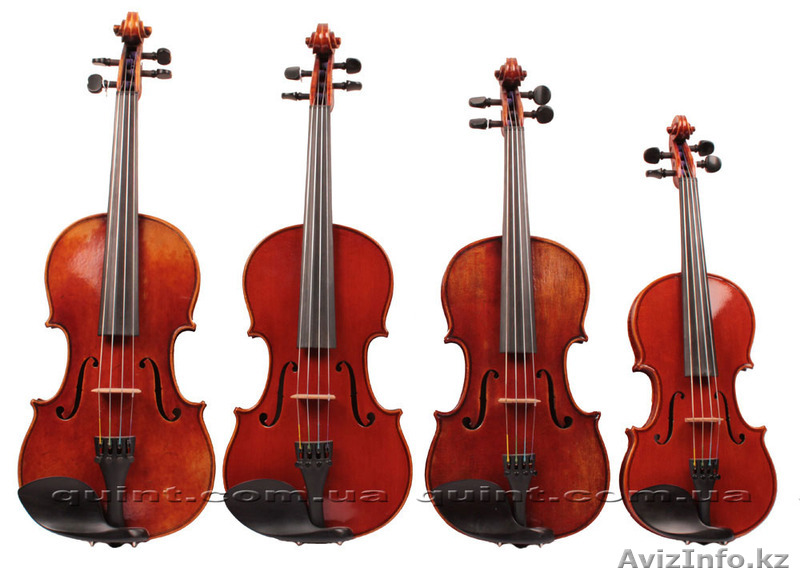 Струнный квартет - Изображение #1, Объявление #1501208