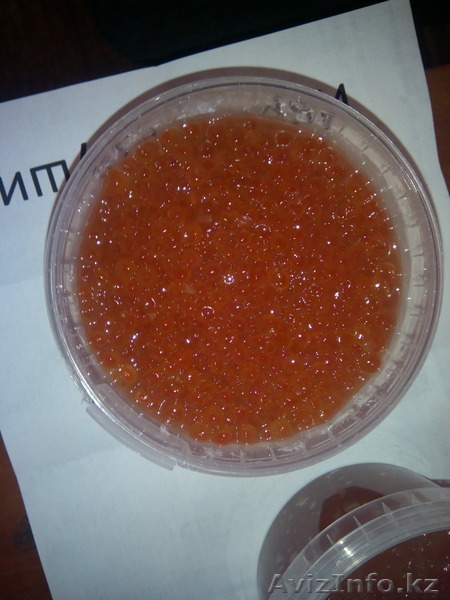 Красную икру продам. - Изображение #1, Объявление #1498170