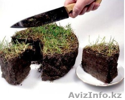 Юридическое сопровождение по земельному вопросу  - Изображение #1, Объявление #1508667