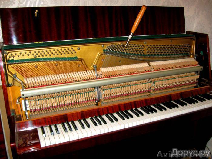 Настройка и ремонт пианино фортепиано качественно.  - Изображение #1, Объявление #1523303