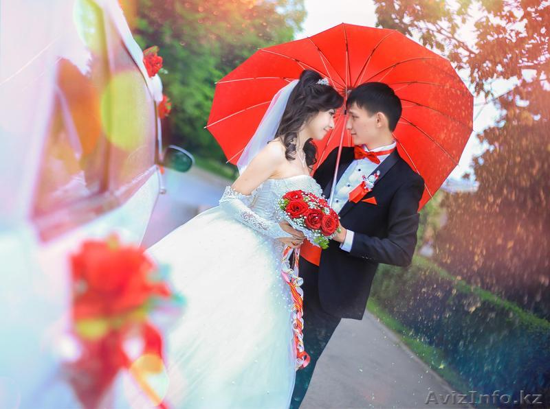 Профессиональный фотограф скидка - Изображение #1, Объявление #1528340