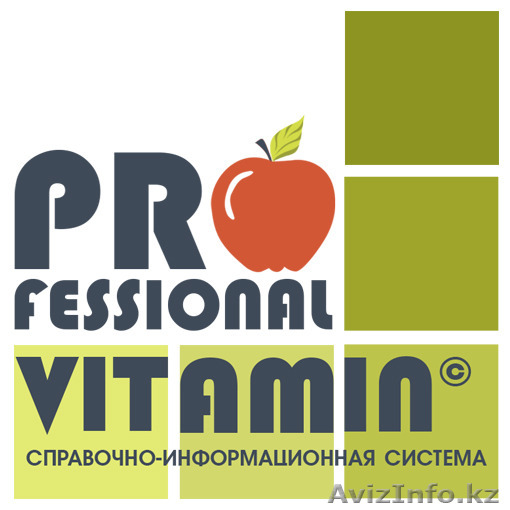 Справочно-информационная система для бухгалтера  - Изображение #1, Объявление #1522970