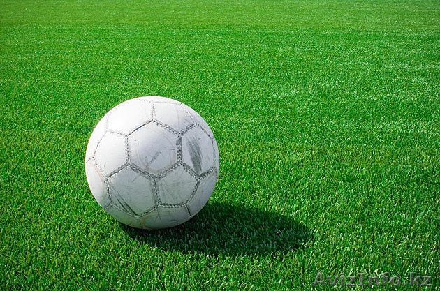 Газон дерновой, рулонный - Изображение #1, Объявление #1531774