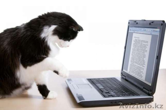 Набор текста (Word, Excel, Power Point и др.) - Изображение #1, Объявление #1544509