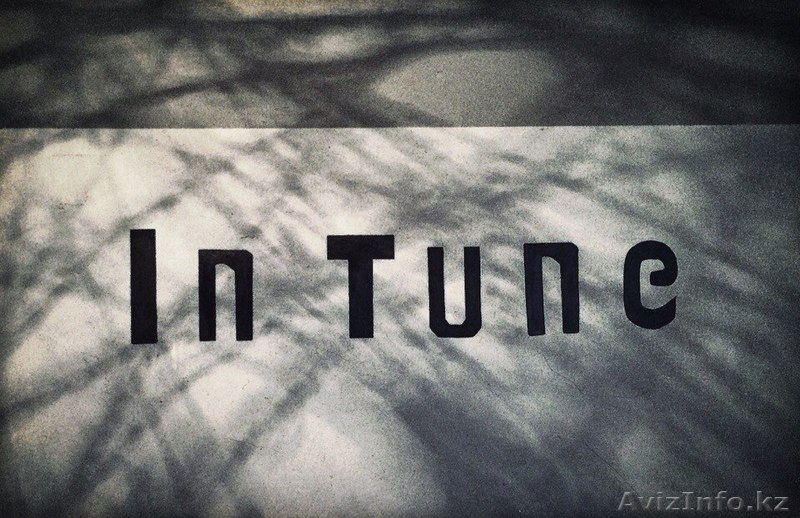 In Tune Production Студия звукозаписи в Алматы (Дешево) - Изображение #1, Объявление #1552220