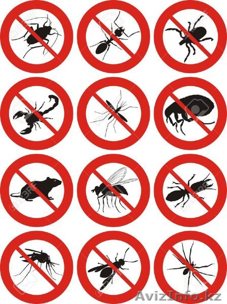  Дезинcекция и дератизация Алматы - Изображение #1, Объявление #1561273