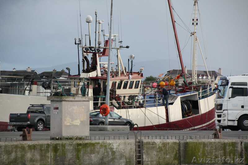 РАБОТА В ИРЛАНДСКИХ РЫБОЛОВНЫХ СУДАХ - Изображение #1, Объявление #1564419