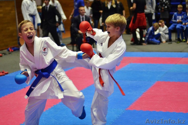 Школа мечты каратиста! Узнай подробней. - Изображение #1, Объявление #1572544