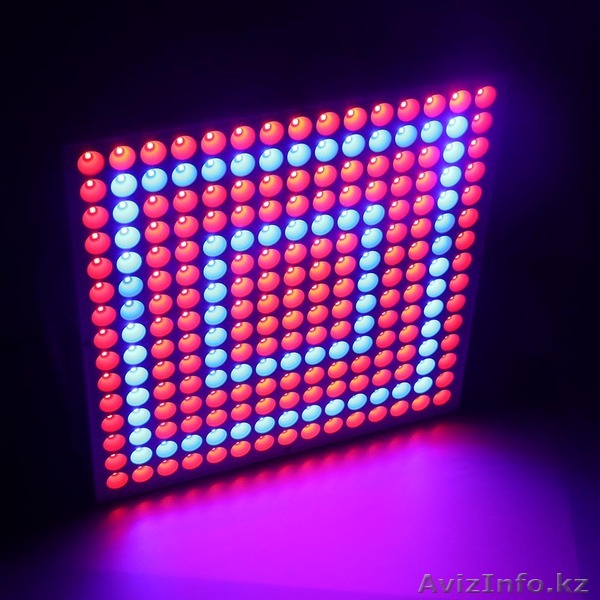 Фитопанель 65 Вт - Изображение #1, Объявление #1574386