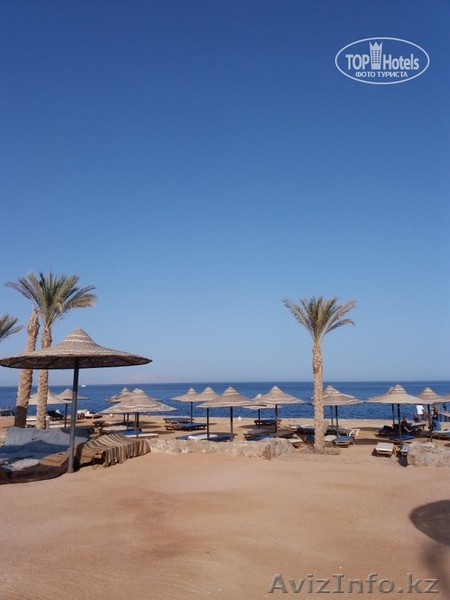 Тур в Египет                     - Изображение #1, Объявление #1576307