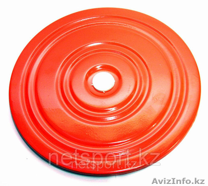 Диск здоровья металический - Изображение #1, Объявление #1578958