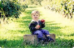 Консультации по уходу за садом - Изображение #1, Объявление #1590406