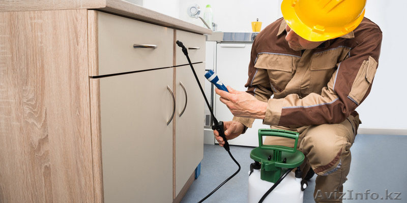 Дезинфекция в Алматы. Dezcenter - Изображение #1, Объявление #1606965