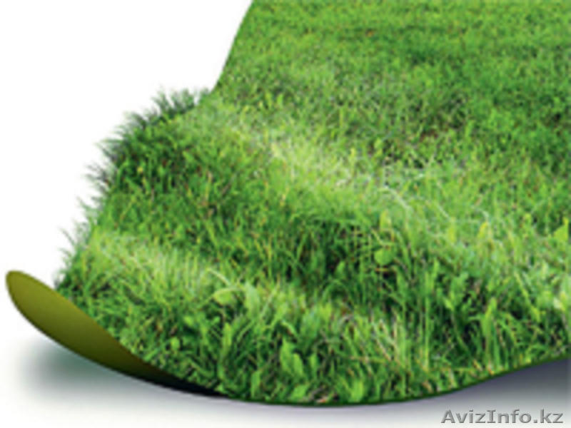 Биомат - Изображение #1, Объявление #1612573