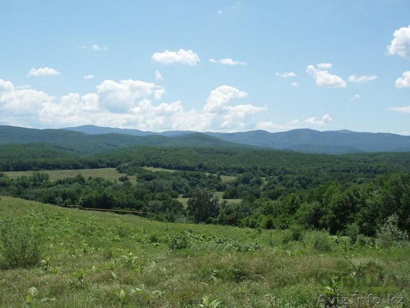 Готовый бизнес Талгар - Изображение #1, Объявление #1619677