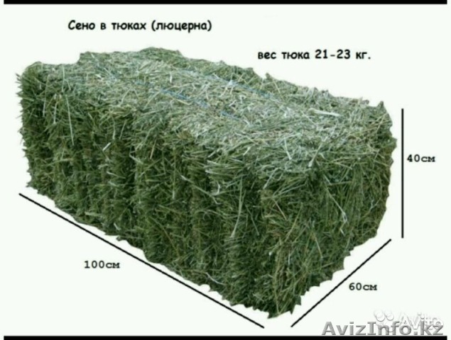 Продам люцерну в тюках - Изображение #1, Объявление #1620466