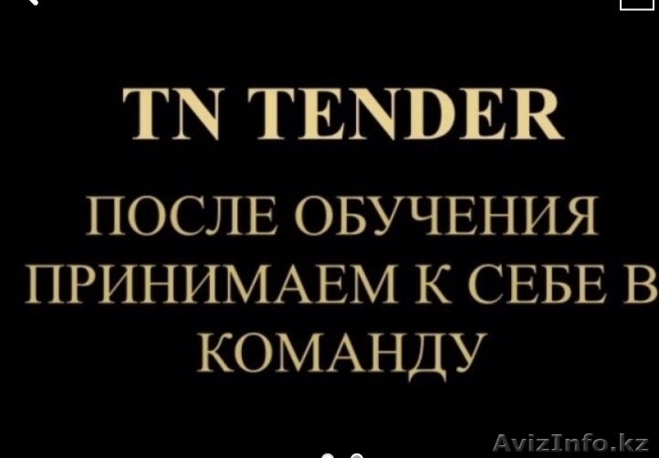 TN Tender - Изображение #1, Объявление #1633160