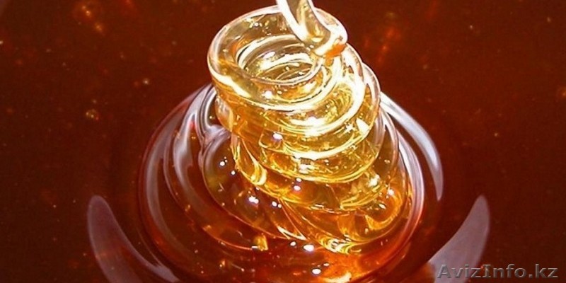 Лецитин - Изображение #1, Объявление #1635121