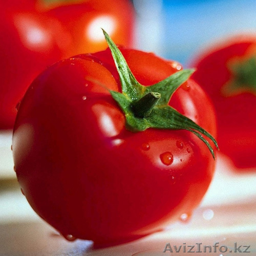Семена томата Аризона - Изображение #1, Объявление #1636149