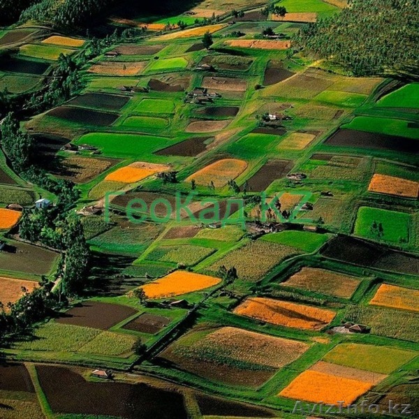 Землеустроительные работы - Изображение #1, Объявление #1637903