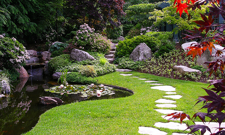 Озеленение, проектирование, строительство - Изображение #1, Объявление #1651294