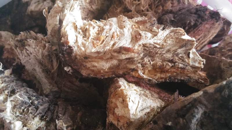 продам корень Ферулы (Омик) - Изображение #1, Объявление #1262035