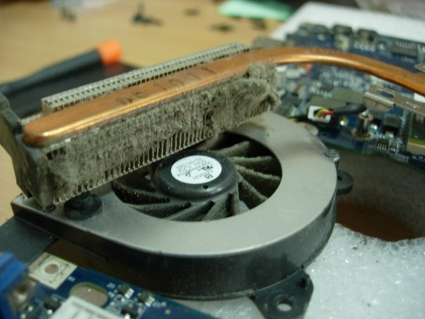 Чистка  Ноутбука от Пыли Устранение Перегрева - Изображение #1, Объявление #1657915