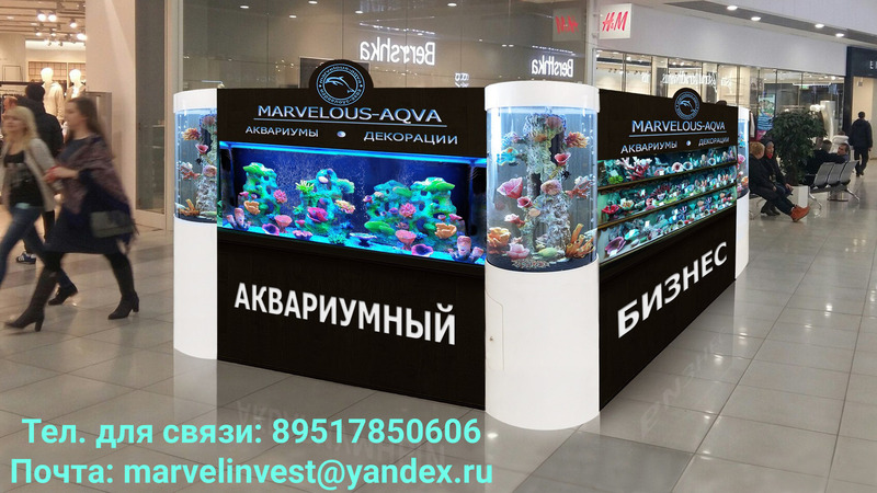 Аквариумный бизнес-продажа - Изображение #1, Объявление #1664790