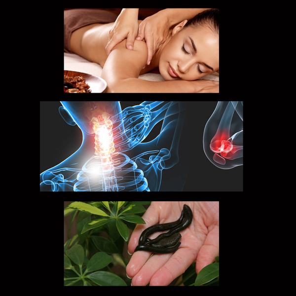 Медицинские услуги: Лечебный массаж, Физиотерапия, Гирудотерапия(пиявки) - Изображение #1, Объявление #1668630