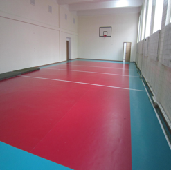 ПВХ спортивные покрытия - Изображение #1, Объявление #1677293