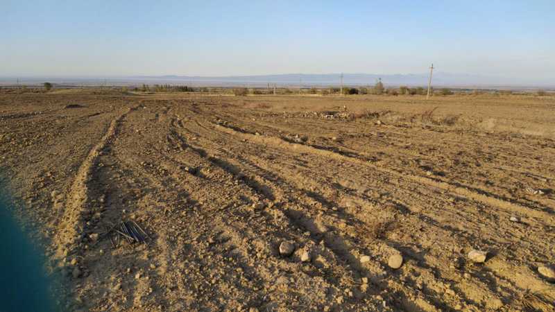 Механизированные работы. Пахота.  - Изображение #1, Объявление #1678765