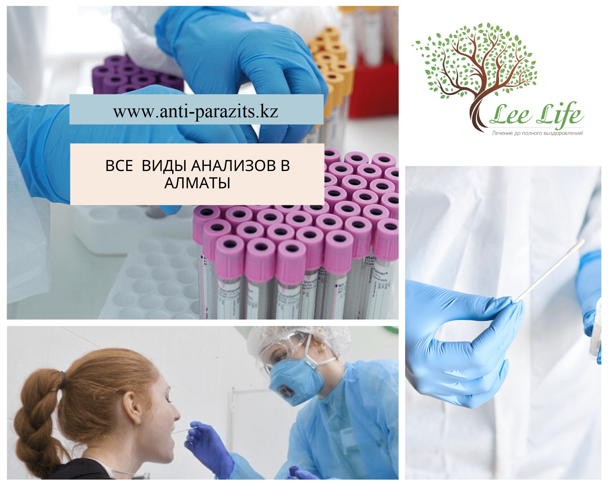 Все виды анализов в Алматы - Изображение #1, Объявление #1687013