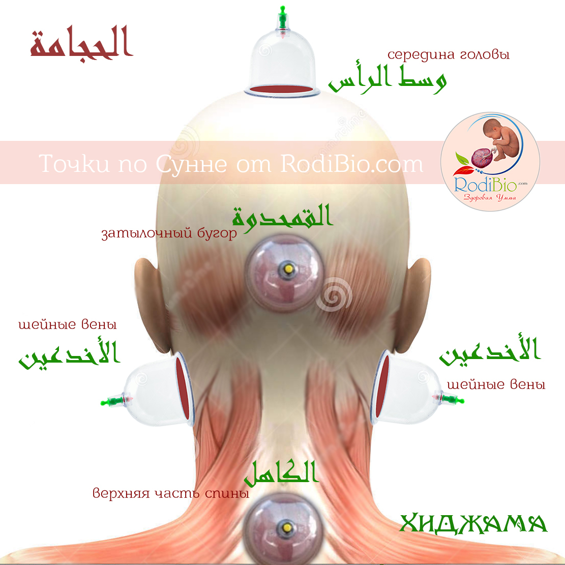 Обучим Хиджаме по сунне - Изображение #1, Объявление #1700922